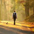 Blagodati šetnje prirodom: Zeleno okruženje dovodi naš um u stanje slično meditaciji
