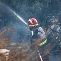 Vatrogasci zaustavili širenje požara u pogonu za preradu papira u Župi dubrovačkoj