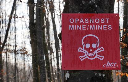 Užas u Doboju! Tinejdžer poginuo dok je čuvao koze: Ušao u minsko polje da ih vrati