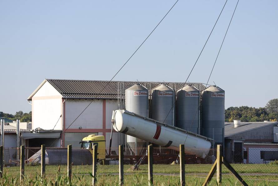 Sokolovac: Kreće eutanazija svinja, uvode se novi sigurnosni protokoli