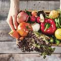 Kupujte samo sezonsko voće i povrće: Za zdravo tijelo i okoliš