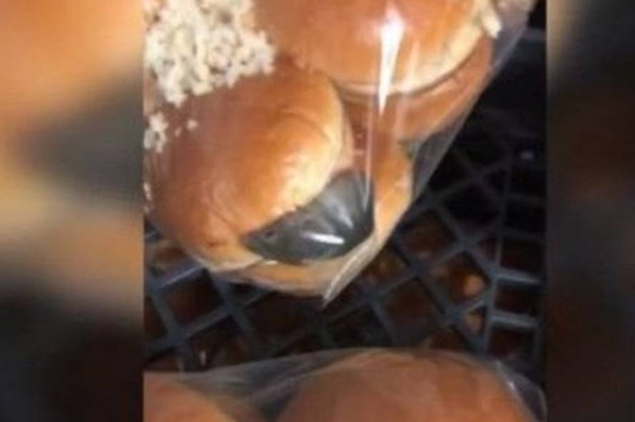 Miš je bio u vrećici s pecivima: 'Vidjeli smo mi i gore stvari...'