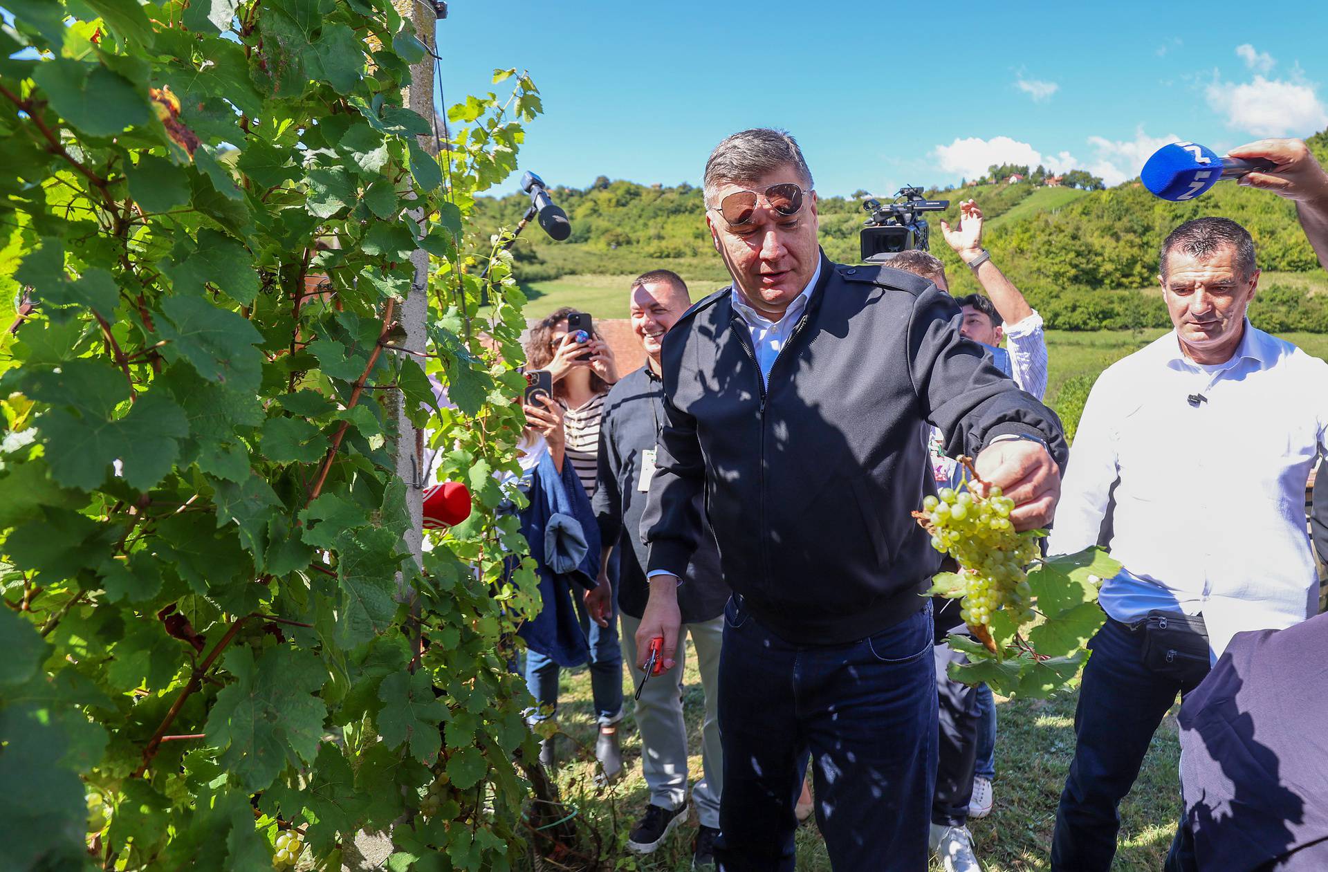 Jastrebarsko: Na Plešivici održana diplomatska berba grozđa