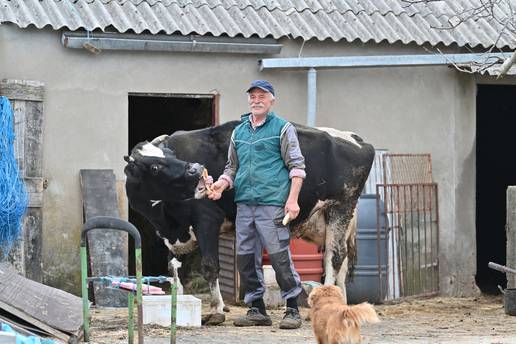 'Nekoć bih susjeda zvao upomoć oko svinjokolje, mast se grabila i kobasice spravljale. A sada...'