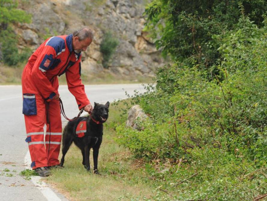 Hrvoje Jelavić/Pixsell