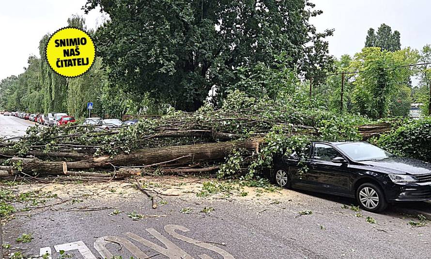 Kaos u Zagrebu: Vjetar srušio drvo na auto! U Maksimirskoj grana pala na žicu pa je zastoj