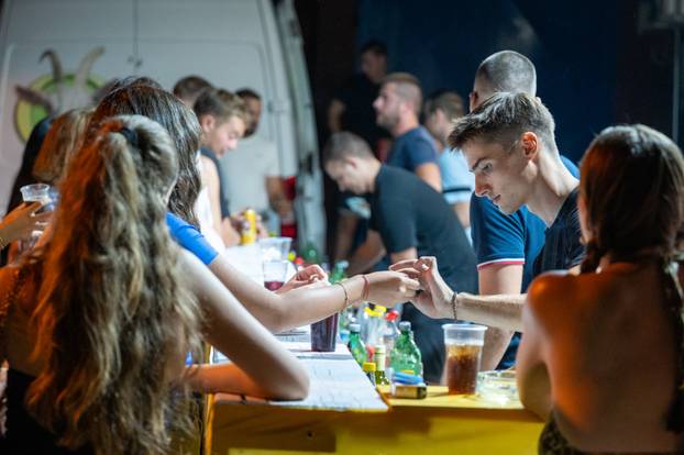 Zaton: Zatonsko ljeto,  koncert Maje  Suput