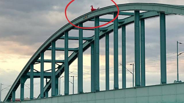 VIDEO 'Stanem kod Hendrixova mosta i vidim ovu ptičurinu na vrhu! Tko je bio lud i penjao se?'