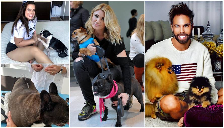 Život na visokoj šapi: Ljubimci im idu na akupunkturu i dadilji