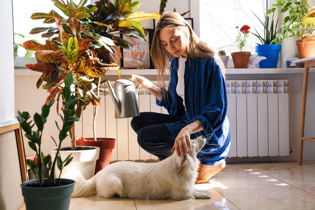 Young,Woman,Florist,Taking,Care,Of,Pot,Plants,Indoors,,Sitting