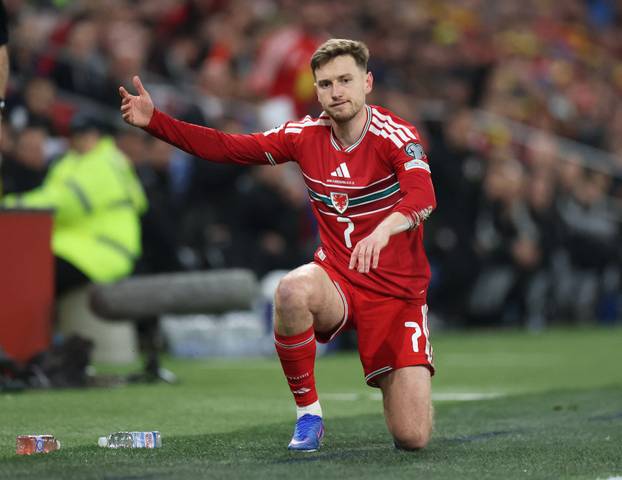 FIFA World Cup - UEFA Qualifiers - Semi Final - Wales v Bosnia and Herzegovina