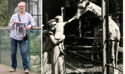 Vladimir (72): Ja sam dijete s rijetke fotografije zagrebačkih žirafa iz 1955. Hranio sam ih...