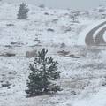 FOTO Zimska idila u Dalmaciji: Snijeg pao na Mosoru,  Biokovu, Svilaji, Kamešnici i Dinari