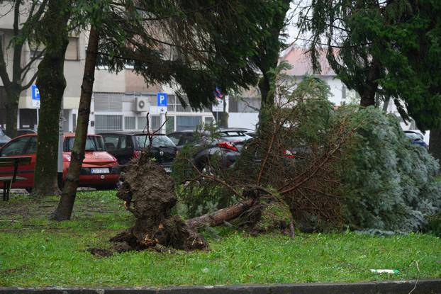 Zagreb: Olujni vjetar poharao Špansko, dignuti krovovi i isčupana stabla 