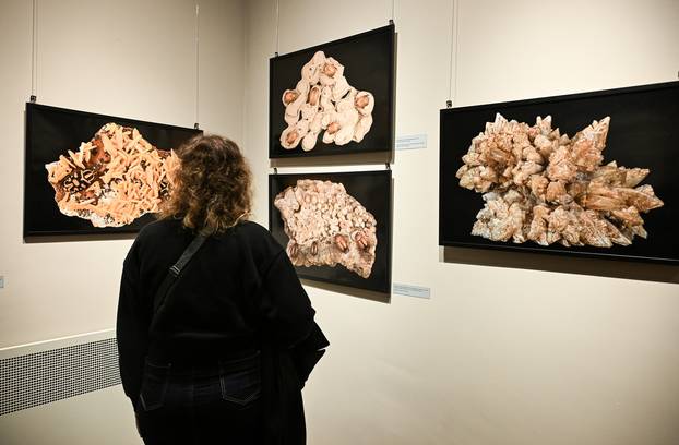 Zagreb: Otvorenje izložbe  Savršenstvo evolucije – Razotkrivanje