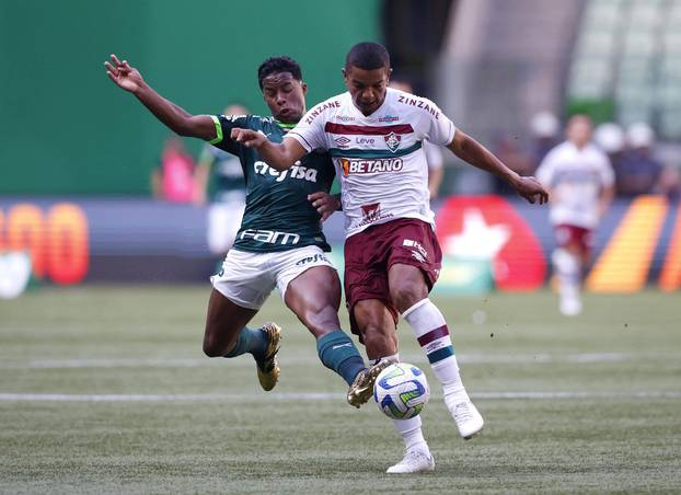 Brasileiro Championship - Palmeiras v Fluminense