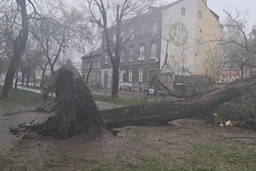 Poru&scaron;ena stabla nakon nevremena