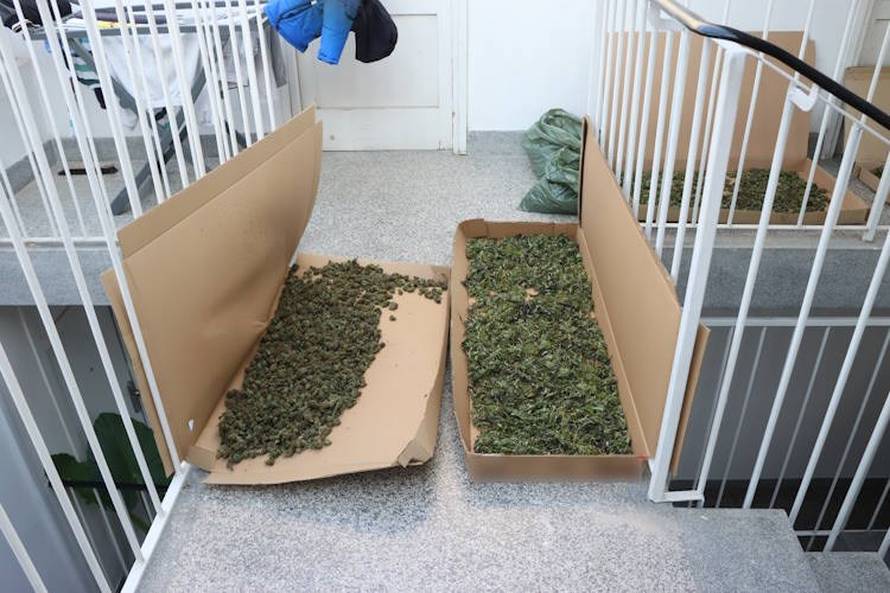 U Zaprešiću uzgajao travu, dilao na Trešnjevci: Policija ulovila još jednog vremešnog dilera