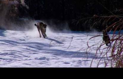 Igre u snijegu: Gepardica i pas Max najbolji su prijatelji