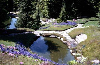 Napravite vlastiti feng shui vodeni vrt ili jezero