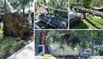 Tužni prizori na zagrebačkom Mirogoju: Stabla su padala na grobove, stradali spomenici...