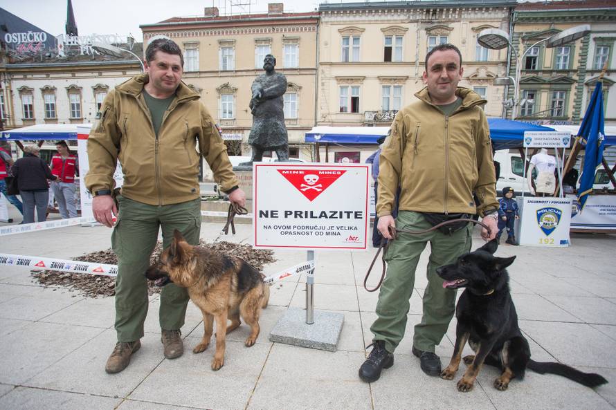 RK Nexe - Frisch Auf Goeppingen