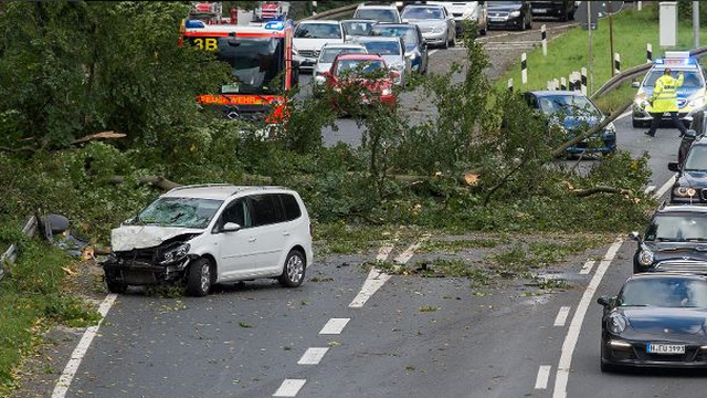 Na njih pala stabla: U olujnom nevremenu poginulo 7 vozača
