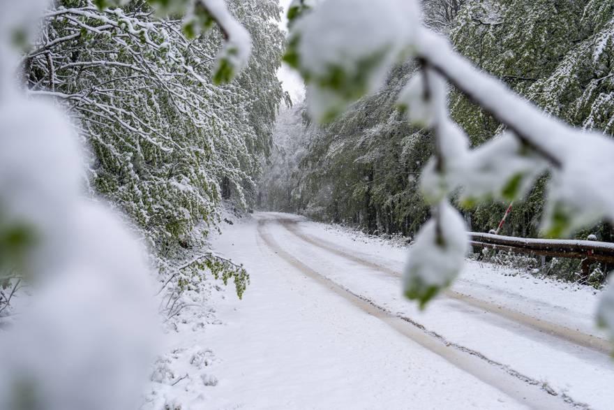 Snow fell in North Velebit National Park