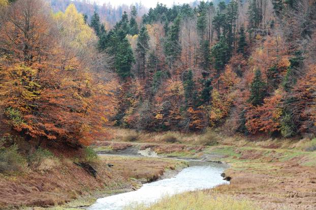Delnice: Boje jeseni u Gorskom kotaru