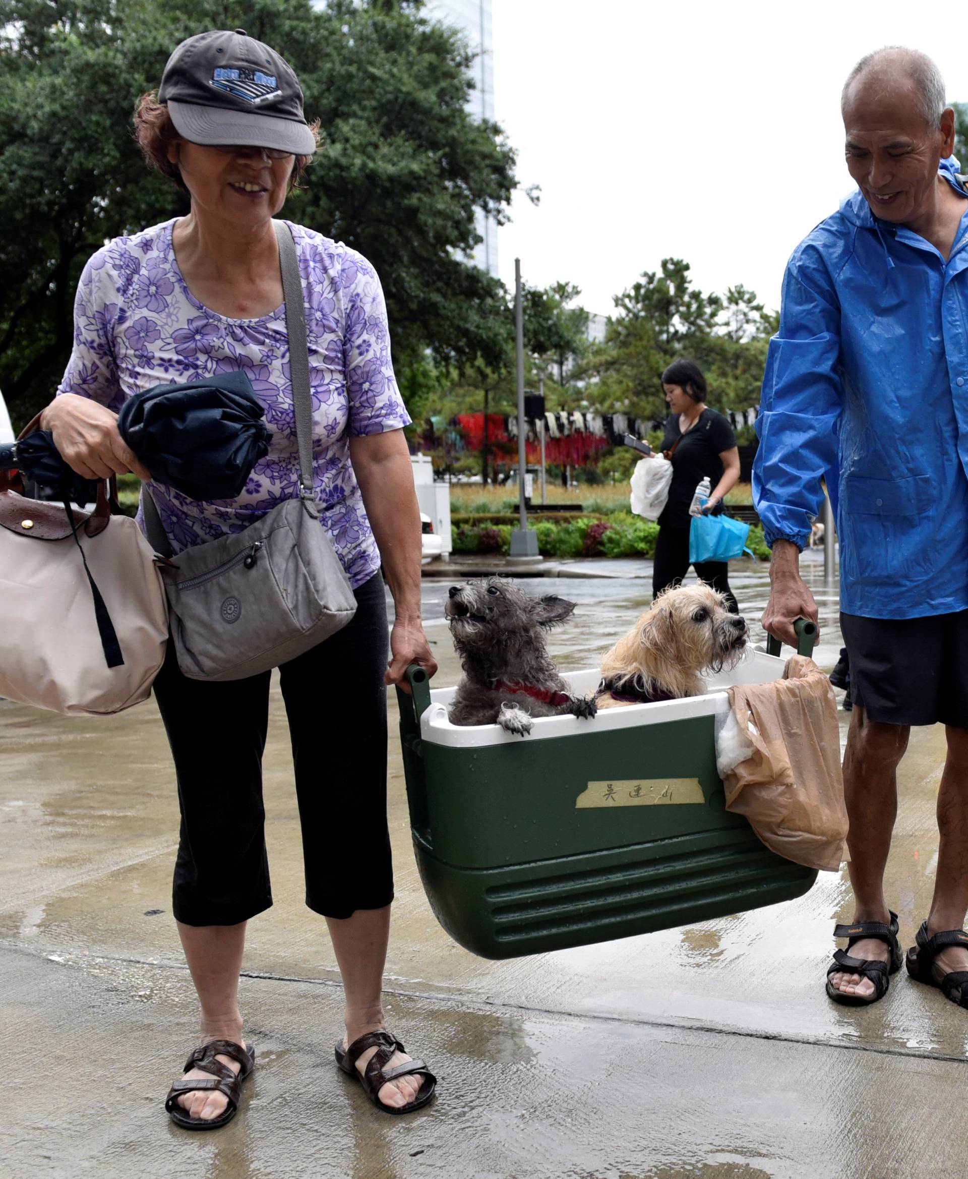 A couple of evacuees carry their dogs into the the George R. Brown Convention Center after Hurricane Harvey inundated the Texas Gulf coast with rain causing widespread flooding