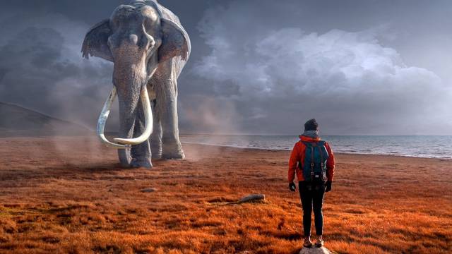 Znanstvenik objavio da planira 'oživjeti' mamute, tisuće protiv ideje: Čovječe, ne igraj se Boga!