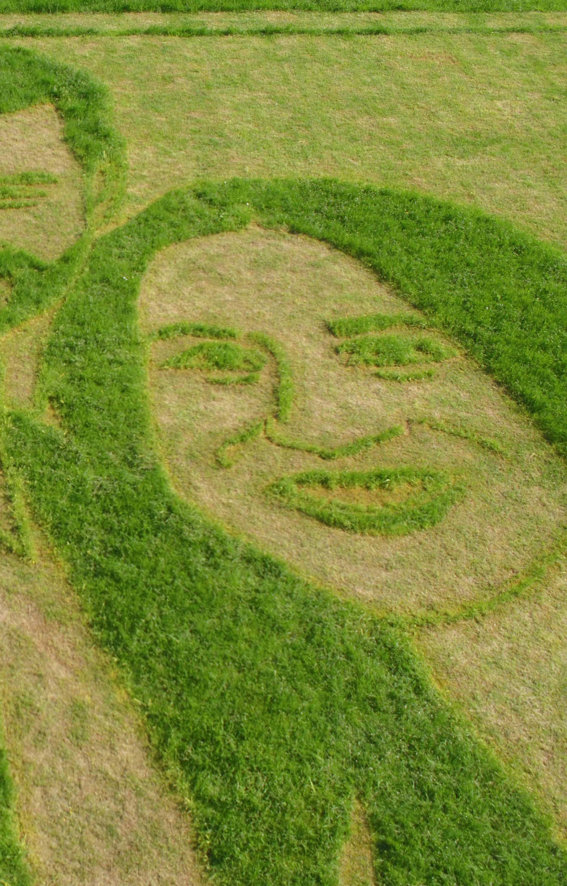 Royal wedding lawn art