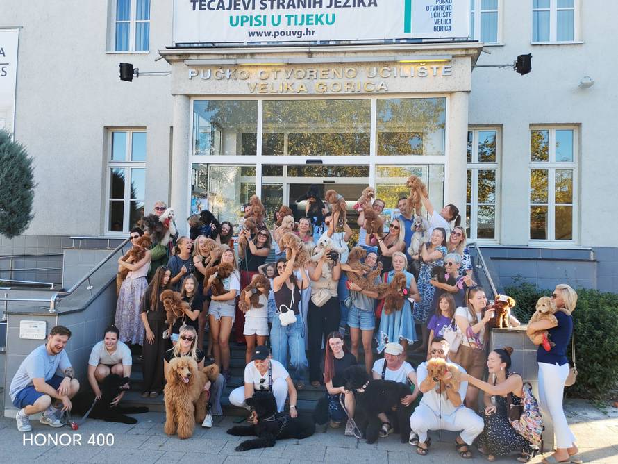 Velika Gorica: Pudle se okupile za pomoć manje sretnim psima