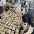 VIDEO Španjolci zaplijenili čak 11 tona kokaina u smrznutoj tuni: Pripadao je Balkanskom kartelu