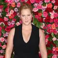 FOTO Amy Schumer ponosno objavila fotku u bikiniju: Izgubila je vi&scaron;e od 20 kilograma
