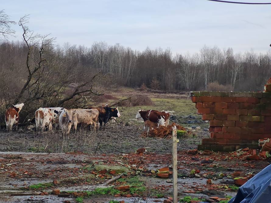 'Izgubili su kompas, da bi se ljudi aktivirali treba im obnoviti kuće i gospodarske zgrade...'