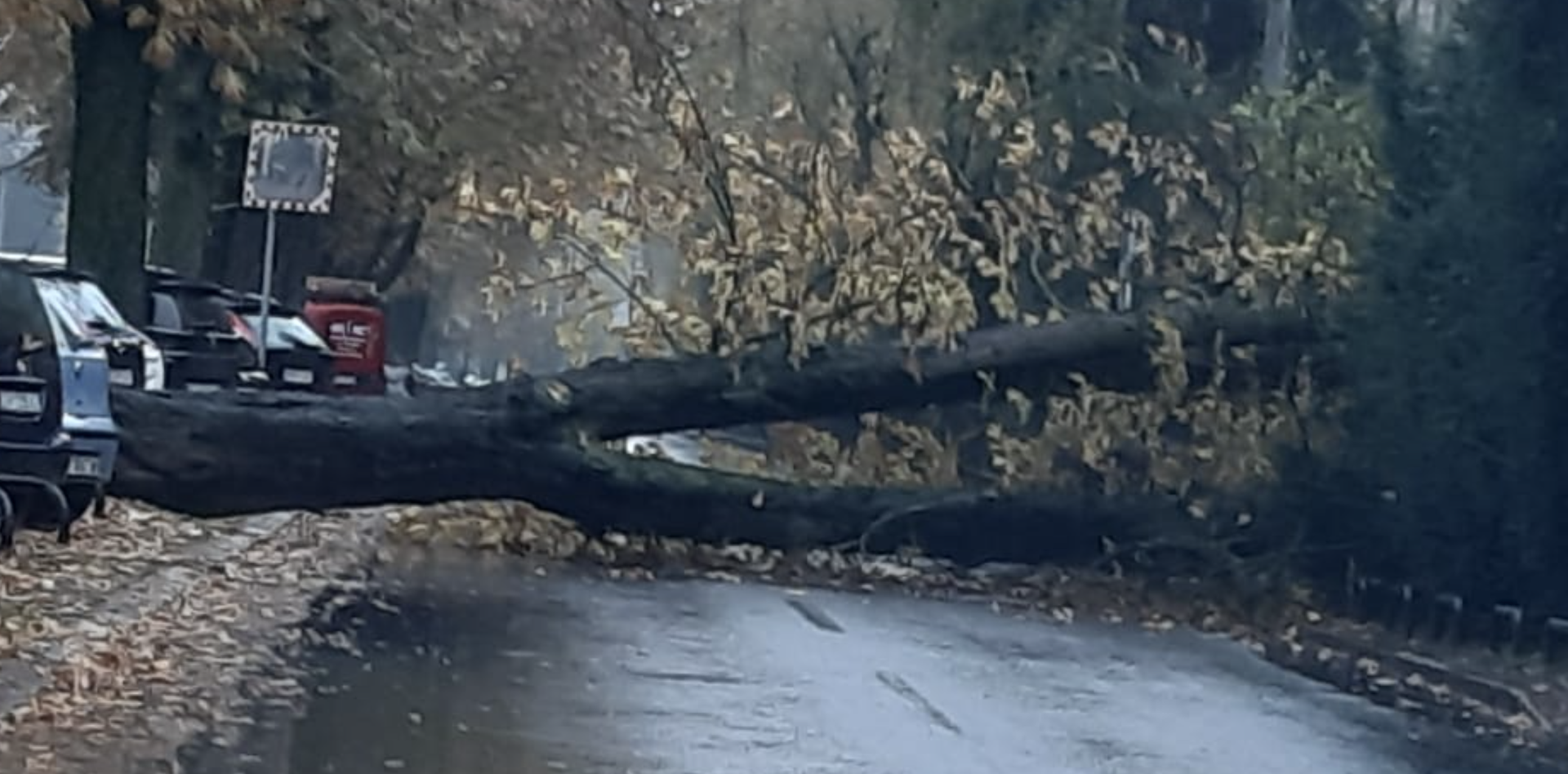 VIDEO Veliko stablo srušilo se nasred ceste u centru Zagreba