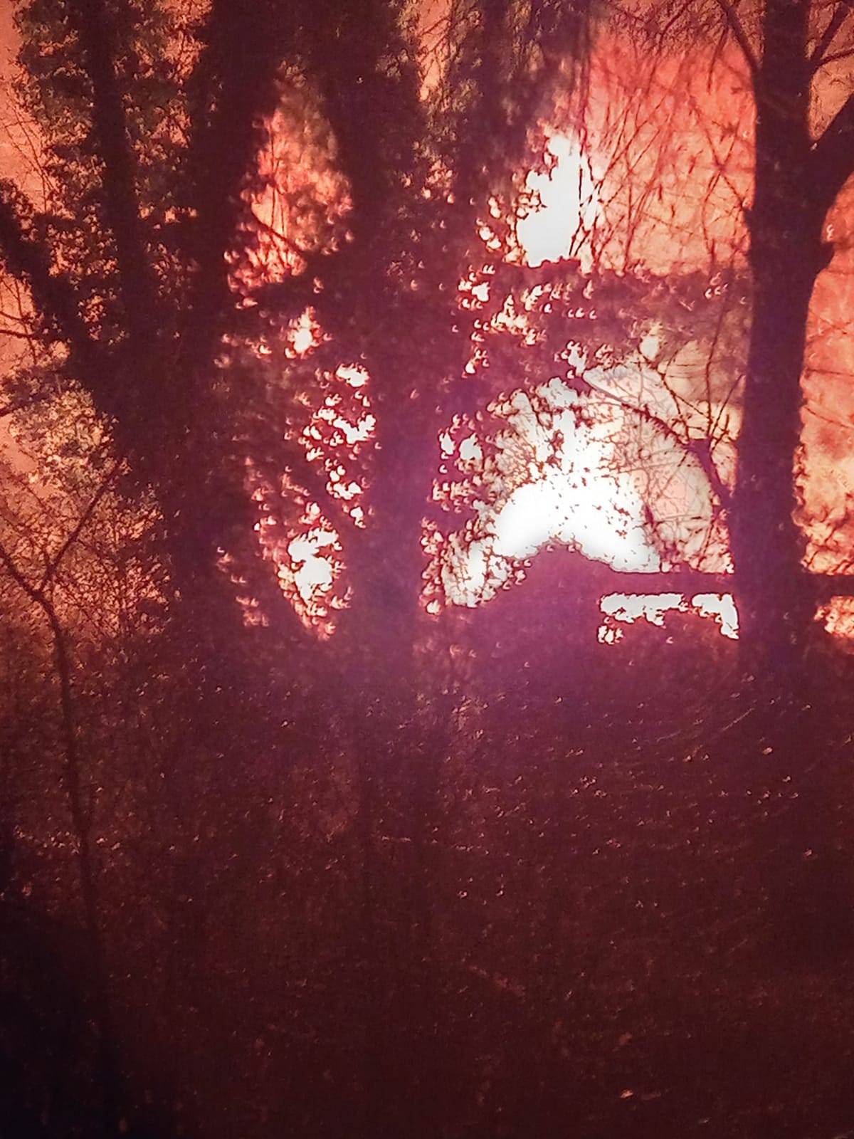 FOTO Izgorio objekt blizu pučke kuhinje, vatrogasci našli tijelo