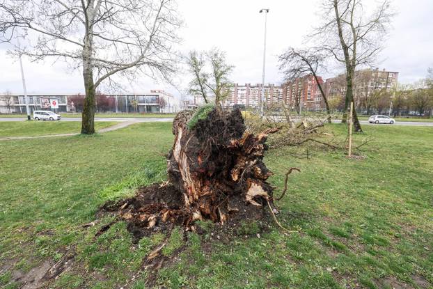 Zagreb: Olujno nevrijeme počupalo stabla na Bundeku 