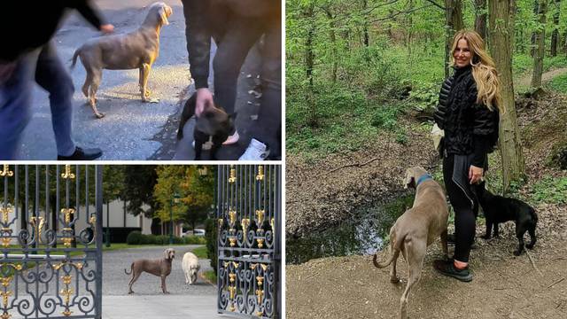 Bijes zbog Todorića: 'Pustili su pse da im lutaju po cesti bez nadzora! Prijavili smo ih policiji'