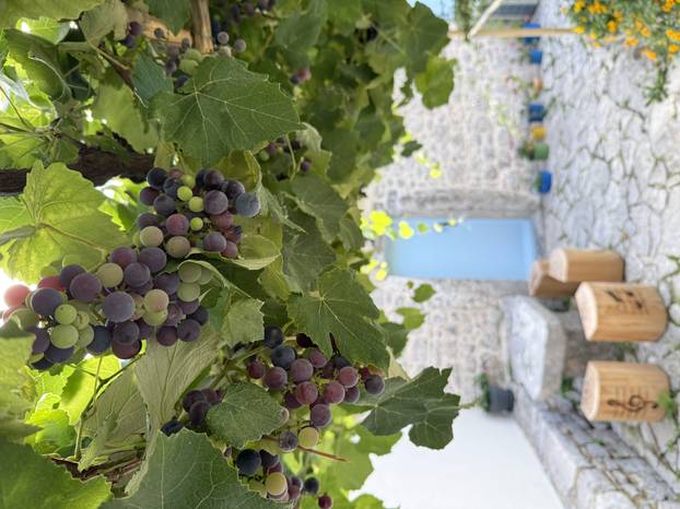 FOTO Kaštelet kod Opatije iz snova: Obnovili smo ga kako bismo očuvali obiteljske tajne