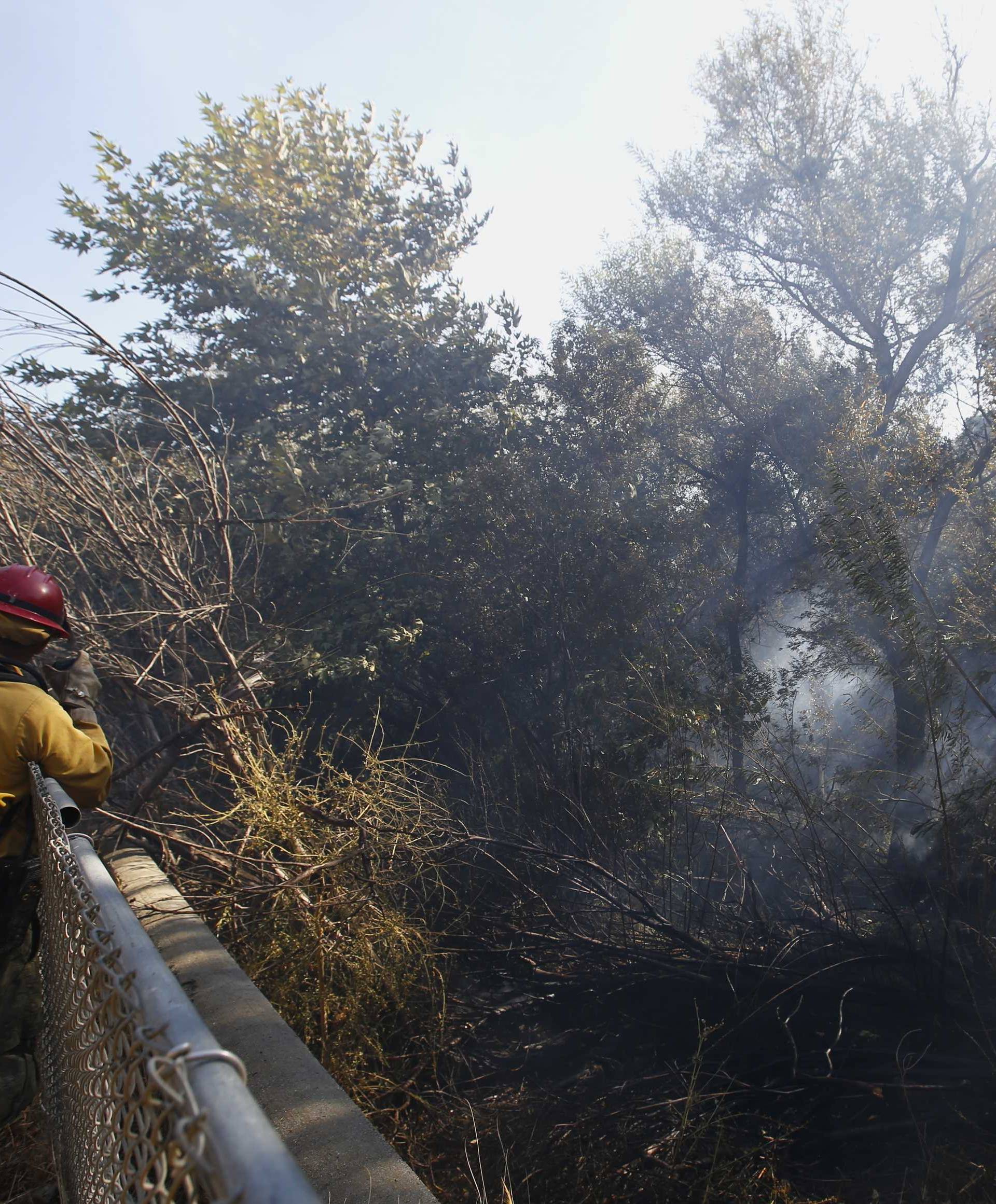 A fire captain surveys a site of the Woosley fire in West Hills, Southern California
