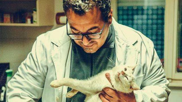 Osječki Dr. Doolitle podario je mačku Manuu deseti život...