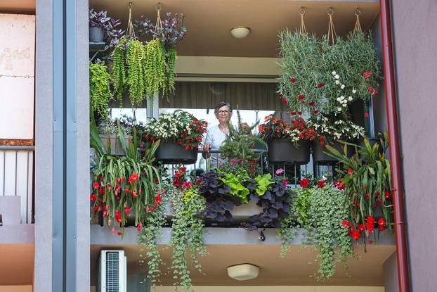 Zagreb: Jasenka Marija Kaštelan ima najljepši vrt na balkonu i ispred zgrade 