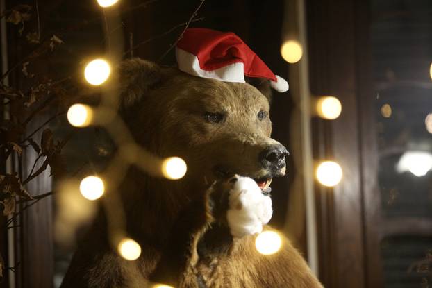 Zagreb: Lovački Advent na Tuškancu