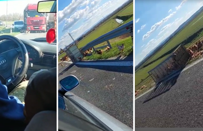 VIDEO Iz kamiona na cestu kod Virovitice ispale kokoši: 'Trčale su po cesti, neke su pregažene'