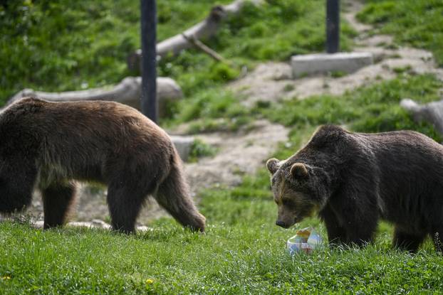 Zagreb: Podjela pisanica uz edukativni pogram za djecu u zoološkom vrtu