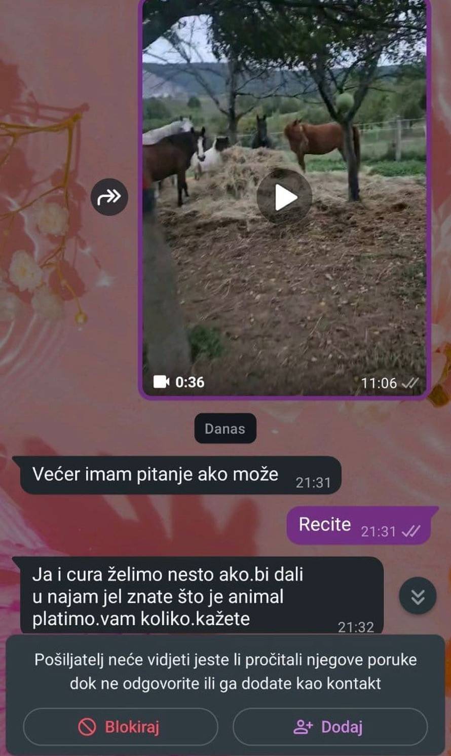 UŽAS U HRVATSKOJ! Htjela je prodati kobilu, pa dobila ponudu: 'Znate što je animal?'