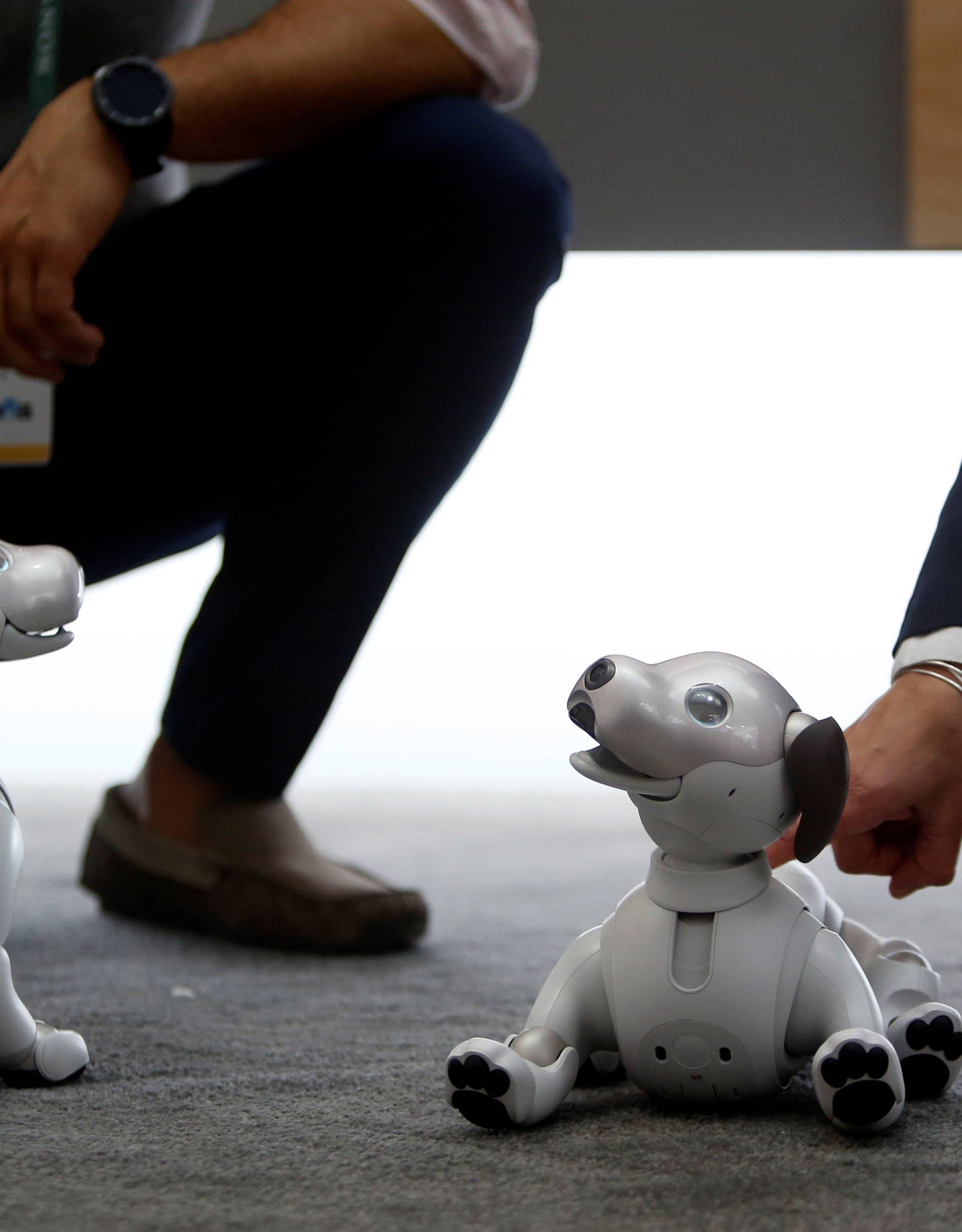 Sony's Aibo, robotic dogs, are displayed during the 2018 CES in Las Vegas