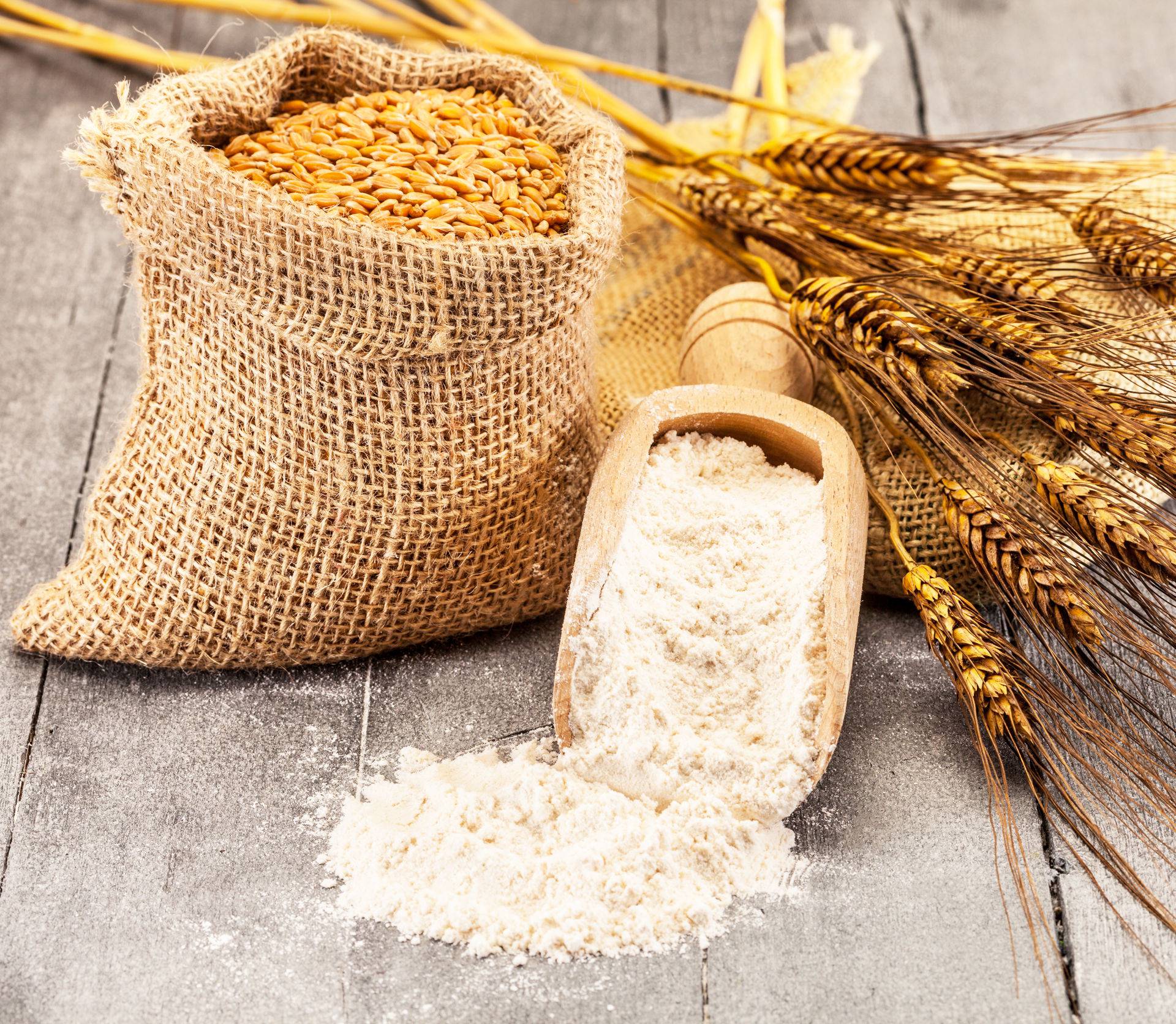 Wheat grains and flour